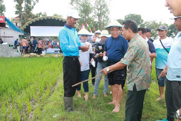 Sayembara Basmi Tikus di Lamongan, Dapat 10 Ekor Bisa Ditukar 1 Kg Beras Sayembara Basmi Tikus di Lamongan, Dapat 10 Ekor Bisa Ditukar 1 Kg Beras