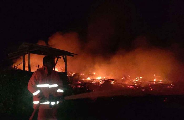 Diduga Korsleting Listrik, Sebuah Kandang di Tuban dan Ribuan Ayam Hangus Terpanggang