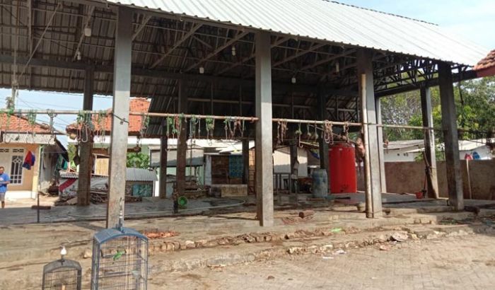 Dari 14 RPH di Bangkalan, Hanya 3 yang Representatif Dari 14 RPH di Bangkalan, Hanya 3 yang Representatif
