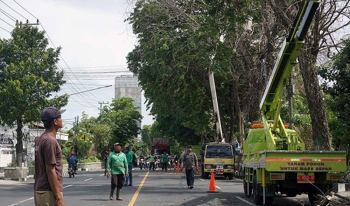 Antisipasi Bencana Hidrometeorologi, Pemkot Kediri Pangkas Pohon Jalan Protokol