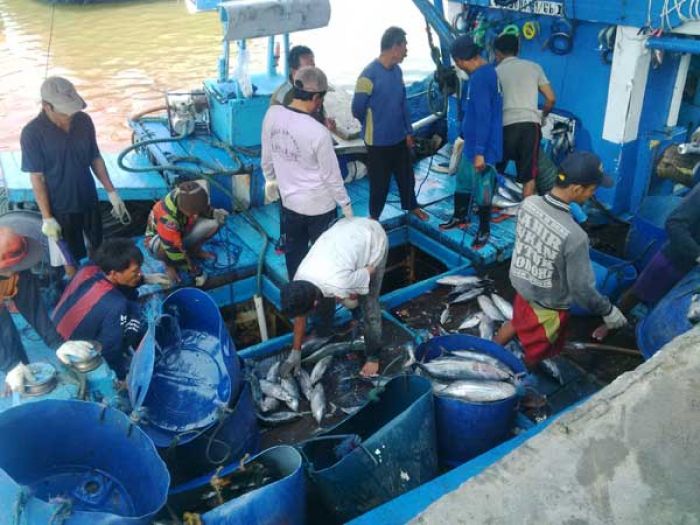 Nelayan Pacitan Tetap Tolak Penggunaan Cantrang dan Payang