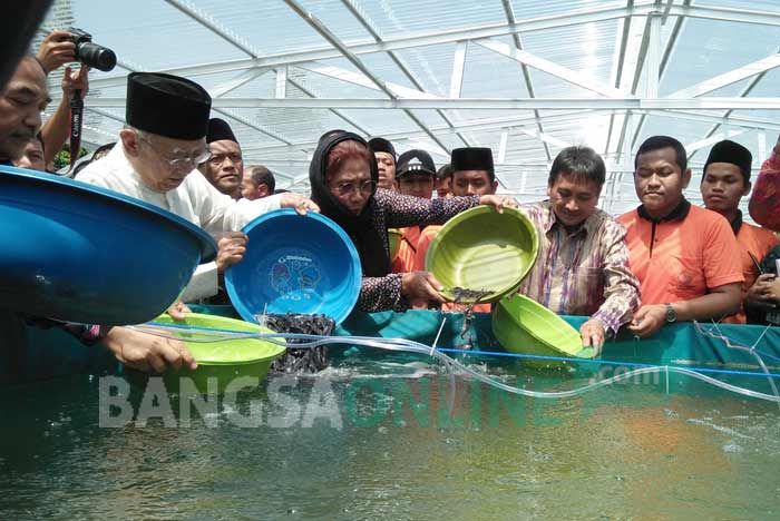 Menteri Susi Salurkan Bantuan Budidaya Ikan Lele Sistem Bioflok ke Ponpes Tebuireng Menteri Susi Salurkan Bantuan Budidaya Ikan Lele Sistem Bioflok ke Ponpes Tebuireng