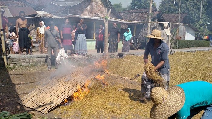 ​Geregetan Gudang Tak Kunjung Dibuka, Petani di Probolinggo Gelar Aksi Bakar Tembakau Siap Jual