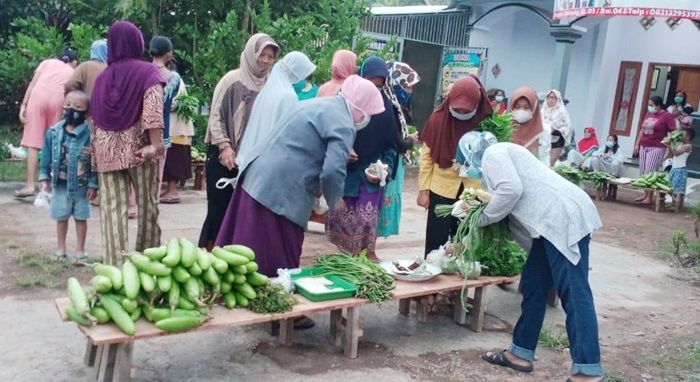 Bagikan Sayur Mayur Gratis ke Tetangga di Masa Pandemi, Jumat Berkah ala Guru Honorer di Jember Bagikan Sayur Mayur Gratis ke Tetangga di Masa Pandemi, Jumat Berkah ala Guru Honorer di Jember