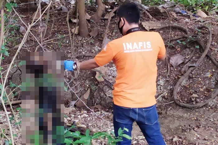Tinggal Tengkorak, Jasad Mr X di Tuban Ditemukan Tergantung di Akar Pohon Tengah Hutan Tinggal Tengkorak, Jasad Mr X di Tuban Ditemukan Tergantung di Akar Pohon Tengah Hutan
