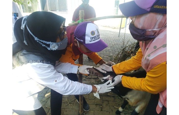 Jelang Hari Raya Kurban, Pemkab Lamongan Sidak Pasar Hewan Sidoharjo Jelang Hari Raya Kurban, Pemkab Lamongan Sidak Pasar Hewan Sidoharjo