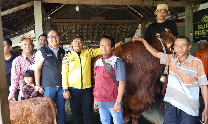 Presiden Prabowo Beli 2 Sapi Kurban di Gresik Presiden Prabowo Beli 2 Sapi Kurban di Gresik