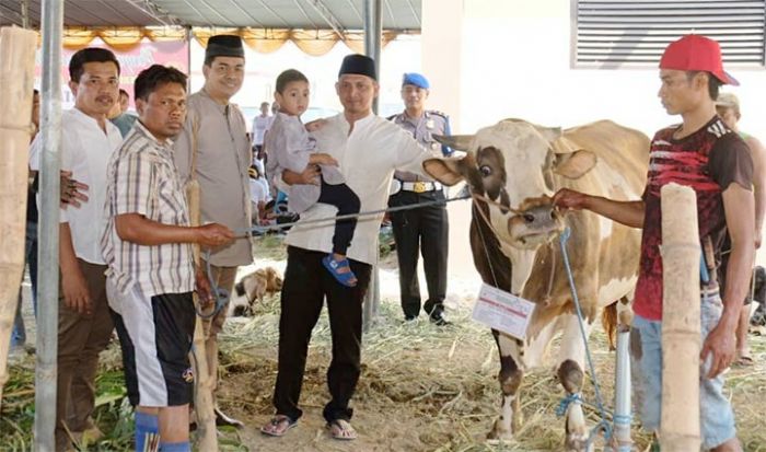 Polresta Sidoarjo Salurkan Kurban 17 Ekor Sapi dan 68 Ekor Kambing Untuk Masyarakat Polresta Sidoarjo Salurkan Kurban 17 Ekor Sapi dan 68 Ekor Kambing Untuk Masyarakat