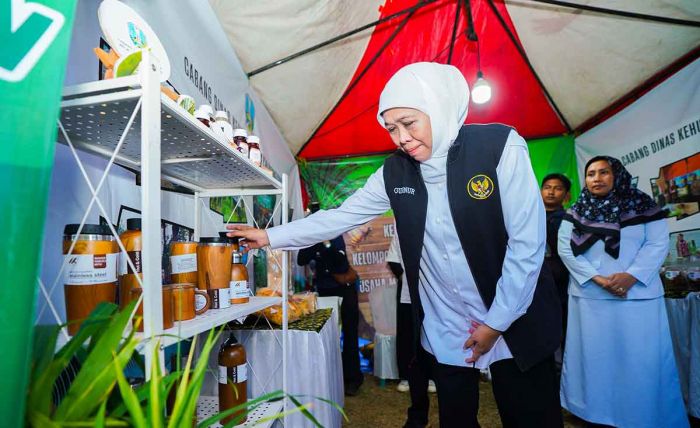 NTE KTH Jatim Tertinggi Nasional, Gubernur Khofifah Apresiasi Hilirisasi Perhutanan Sosial NTE KTH Jatim Tertinggi Nasional, Gubernur Khofifah Apresiasi Hilirisasi Perhutanan Sosial