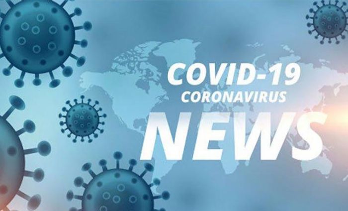 Update Covid-19 di Gresik: Positif Tambah 17 Orang, Sembuh 8 Update Covid-19 di Gresik: Positif Tambah 17 Orang, Sembuh 8