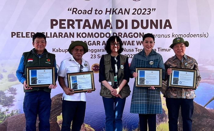 6 Ekor Komodo Hasil Breeding TSI, Smelting, dan KLHK RI Dilepasliarkan ke Cagar Alam Wae Wuul NTT 6 Ekor Komodo Hasil Breeding TSI, Smelting, dan KLHK RI Dilepasliarkan ke Cagar Alam Wae Wuul NTT