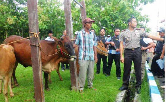 Pencurian Hewan di Sampang Sering Terjadi di Omben dan Karangpenang Pencurian Hewan di Sampang Sering Terjadi di Omben dan Karangpenang