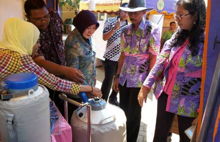Pemkot Probolinggo Gelar Kontes Ternak dan Pameran Agribisnis Pertanian Pemkot Probolinggo Gelar Kontes Ternak dan Pameran Agribisnis Pertanian