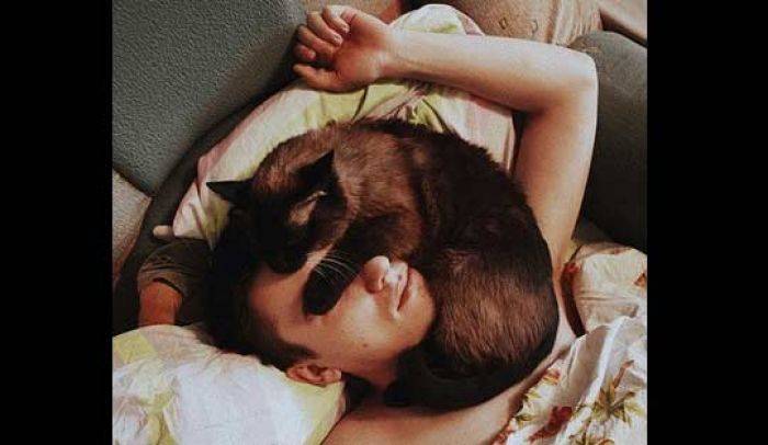 Ajak Pus Meong Tidur Bareng, Bantu Dapatkan Tidur Berkualitas Ajak Pus Meong Tidur Bareng, Bantu Dapatkan Tidur Berkualitas