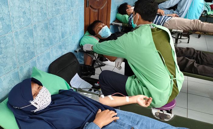 Lembaga Kajian di Bangkok Gelar Donor Darah Kemerdekaan Lembaga Kajian di Bangkok Gelar Donor Darah Kemerdekaan