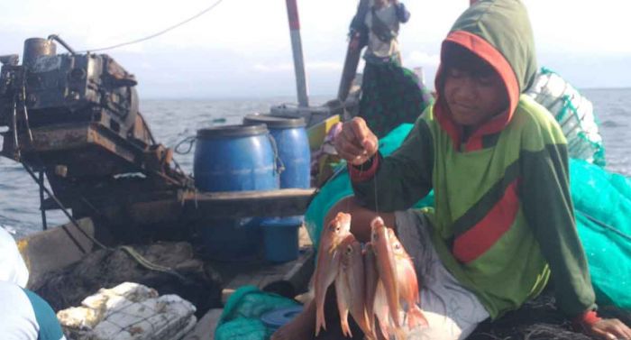 Nelayan Situbondo Terpuruk, Hasil Tangkapan Turun Drastis Sejak Awal November 2025