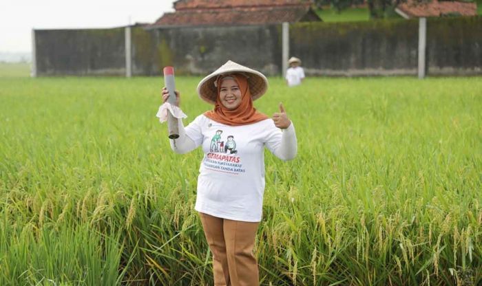Gemapatas 2025: Kementerian ATR/BPN Dorong Warga Pasang Patok Tanah untuk Percepat PTSL