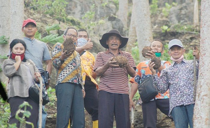 Dari Pengusaha Marmer, Jariedi Banting Setir Jadi Petani Porang