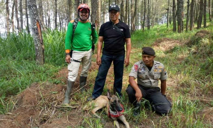 Pergi ke Ladang, Kakek 61 Tahun Hilang di Hutan