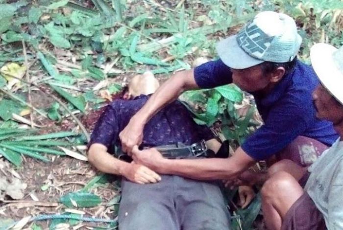 Berniat Robohkan Pohon Aren, Warga Pacitan Bablas ke Akhirat Berniat Robohkan Pohon Aren, Warga Pacitan Bablas ke Akhirat