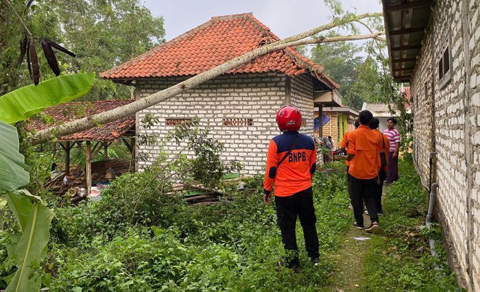 Pohon Tumbang Timpa Sebuah Rumah di Pamekasan, 3 Orang Terluka Pohon Tumbang Timpa Sebuah Rumah di Pamekasan, 3 Orang Terluka