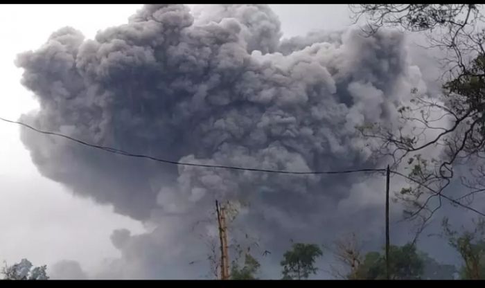 Gunung Semeru Meletus, Muntahkan Awan Panas sampai 4,5 KM Gunung Semeru Meletus, Muntahkan Awan Panas sampai 4,5 KM
