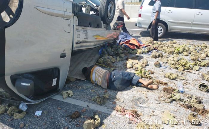 Pecah Ban, Pikap Muat Ikan Terguling di Tol Porong Pecah Ban, Pikap Muat Ikan Terguling di Tol Porong