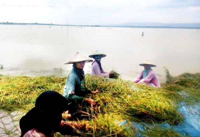 Hujan Intensitas Tinggi akan Guyur Bojonegoro Hingga Desember