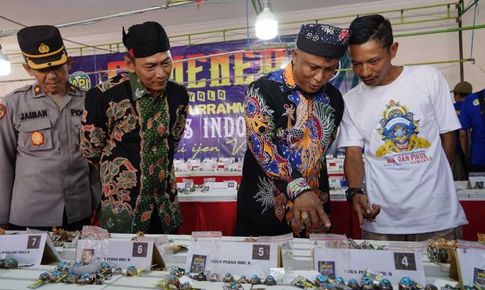 Kontes Akik dan Pirus di Sumenep Diikuti Peserta dari Berbagai Daerah di Indonesia Kontes Akik dan Pirus di Sumenep Diikuti Peserta dari Berbagai Daerah di Indonesia