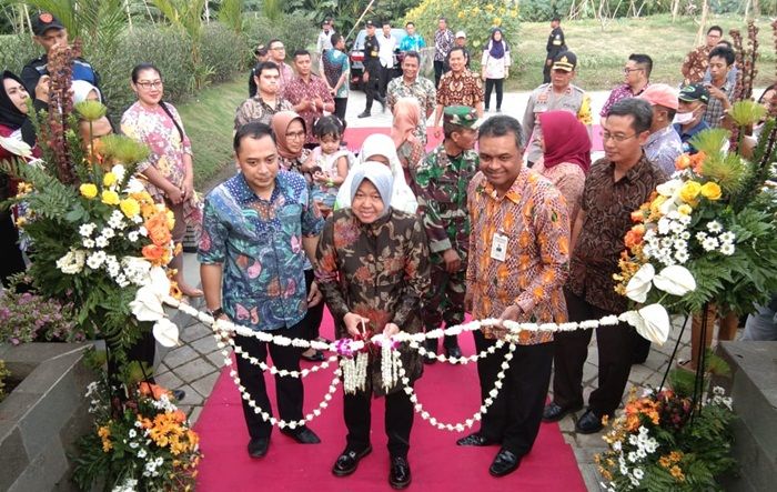 Wali Kota Risma Resmikan 70 Taman Baru Sekaligus Wali Kota Risma Resmikan 70 Taman Baru Sekaligus