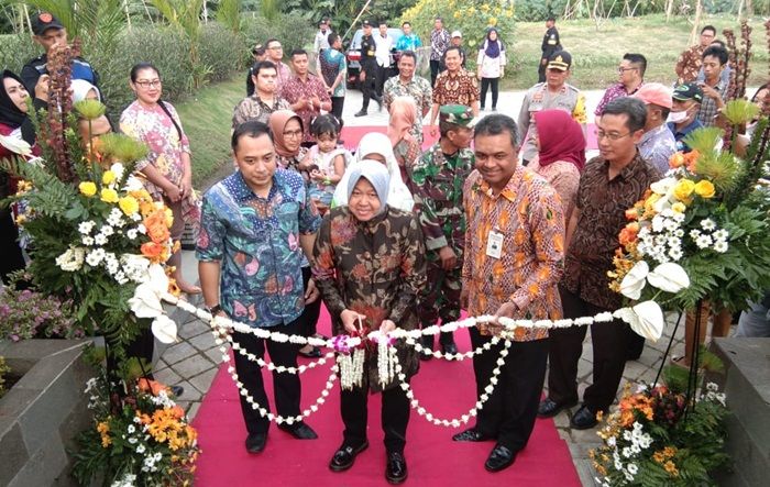 ​Wali Kota Risma Resmikan 70 Taman Baru Sekaligus