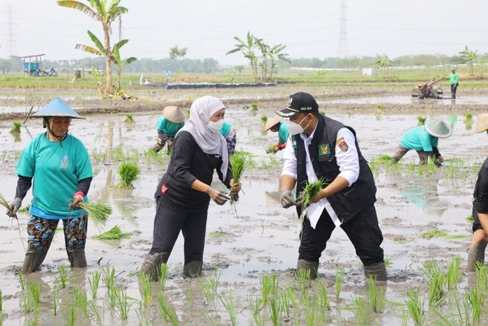 NTP Jatim Alami Kenaikan, Gubernur Khofifah Harap Kesejahteraan Petani Terus Meningkat