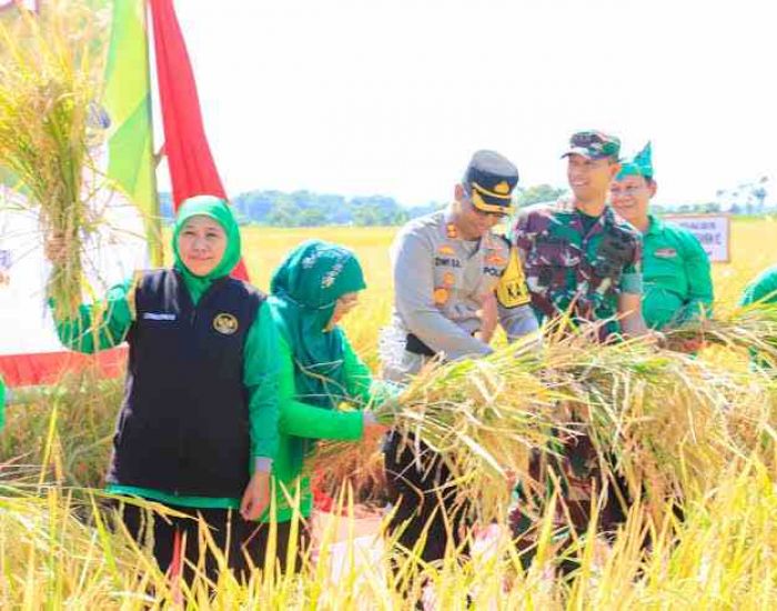 Merespons Penambahan Pupuk Bersubsidi, Khofifah Sebut Kabar Gembira Bagi Petani Jatim Merespons Penambahan Pupuk Bersubsidi, Khofifah Sebut Kabar Gembira Bagi Petani Jatim