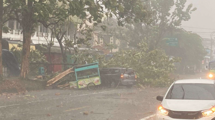 Hujat Lebat Siang Hari ini, Sejumlah Pohon di Pakisaji Malang Tumbang Hujat Lebat Siang Hari ini, Sejumlah Pohon di Pakisaji Malang Tumbang