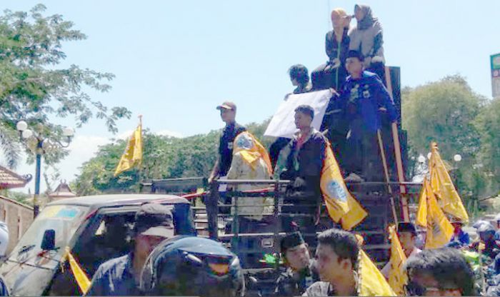 PMII Demo Serentak, Serukan KPK Profesional dalam Penegakan Hukum PMII Demo Serentak, Serukan KPK Profesional dalam Penegakan Hukum