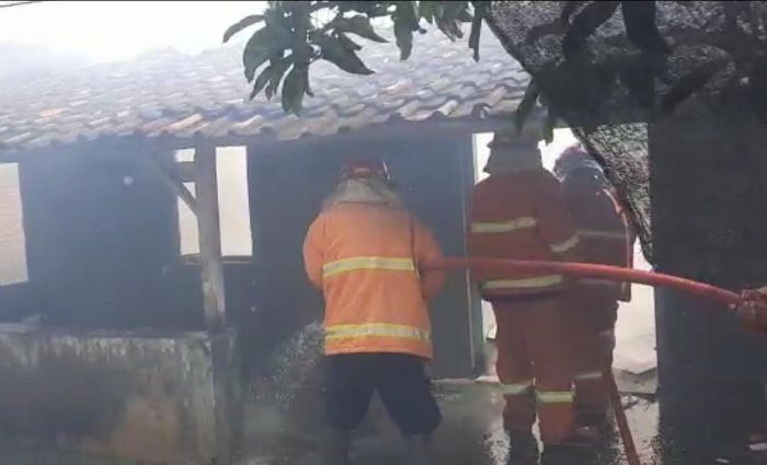 Diduga Akibat Korsleting Listrik, Rumah di Ki Ageng Selo Dilalap Si Jago Merah Diduga Akibat Korsleting Listrik, Rumah di Ki Ageng Selo Dilalap Si Jago Merah