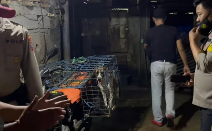 Pemkab Blitar Terbitkan SE Larangan Peredaran Daging Anjing dan Kucing
