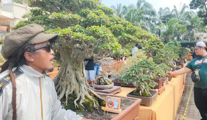 Meriahkan Hari Jadi ke-1220 Kabupaten Kediri, PPBI Gelar Pameran dan Kontes Bonsai Nasional