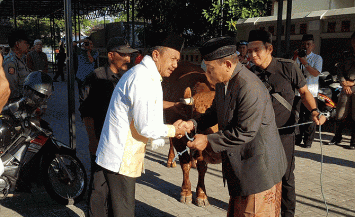 Usai Sholat, Bupati Serahkan Hewan Kurban Usai Sholat, Bupati Serahkan Hewan Kurban