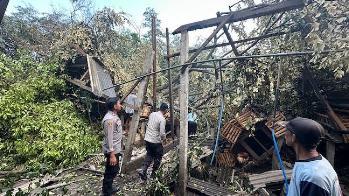 Satu Orang Tewas Tertimpa Pohon Tumbang Akibat Hujan dan Angin Kencang di Blitar Satu Orang Tewas Tertimpa Pohon Tumbang Akibat Hujan dan Angin Kencang di Blitar