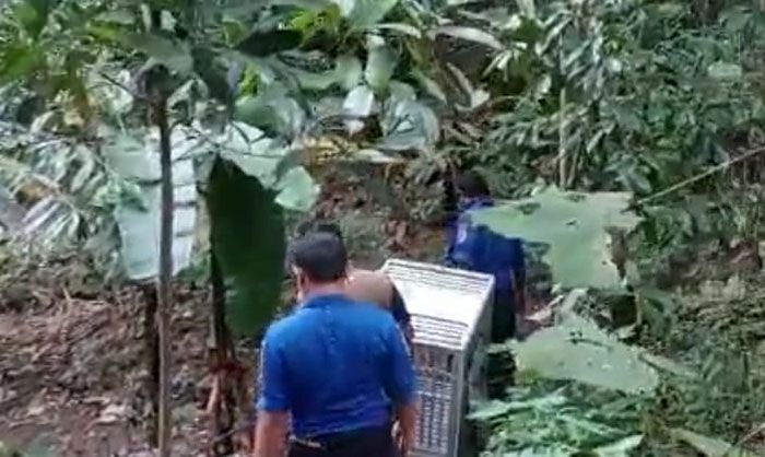 Munculnya Anak Buaya Gegerkan Warga Desa Janti Kediri Munculnya Anak Buaya Gegerkan Warga Desa Janti Kediri