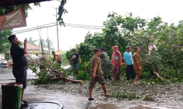 Gotong Royong, Warga dan Petugas Evakuasi Pohon Tumbang di Sidoarjo Gotong Royong, Warga dan Petugas Evakuasi Pohon Tumbang di Sidoarjo