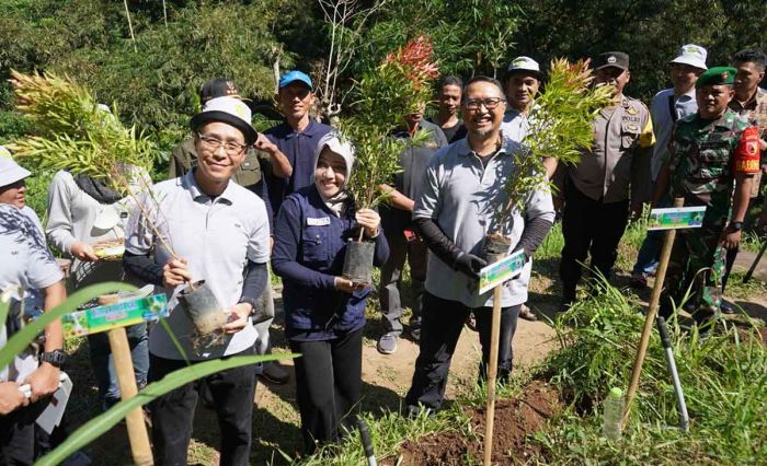 3.000 Pucuk Merah dan Sonokeling Ditanam di Pacet, Bupati Mojokerto: Untuk Anak Cucu 3.000 Pucuk Merah dan Sonokeling Ditanam di Pacet, Bupati Mojokerto: Untuk Anak Cucu