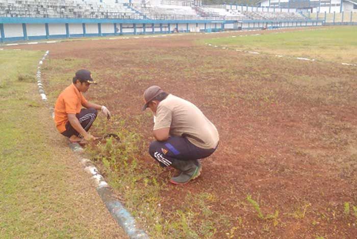Stadion Pacitan Mulai Ditumbuhi Rumput Liar dan Belukar Stadion Pacitan Mulai Ditumbuhi Rumput Liar dan Belukar