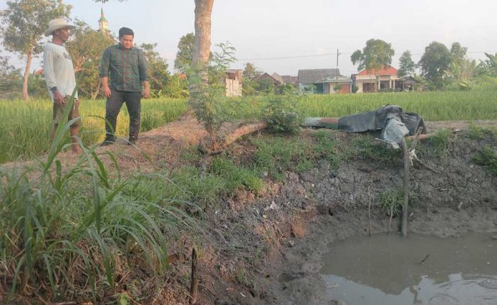 Temui Petani di Balongpanggang, Syahrul Disambati Beli Air untuk Irigasi Temui Petani di Balongpanggang, Syahrul Disambati Beli Air untuk Irigasi