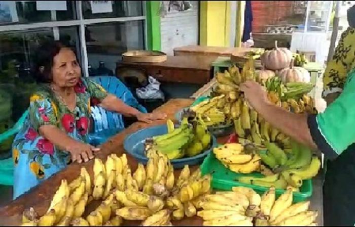 Wanita Penyandang Disabilitas, Bisa Beli Mobil dan Rumah, Ini Kisah Inspiratifnya