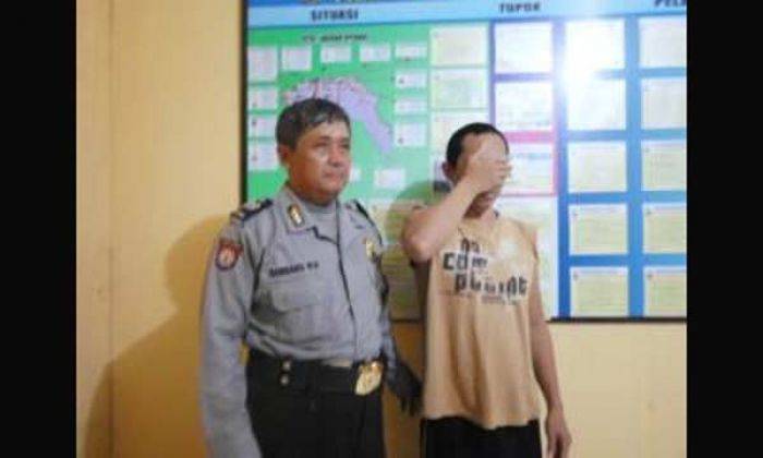 Sales Kasur Pakai Sabu Biar Tidak Capek Saat Angkat-angkat Sales Kasur Pakai Sabu Biar Tidak Capek Saat Angkat-angkat