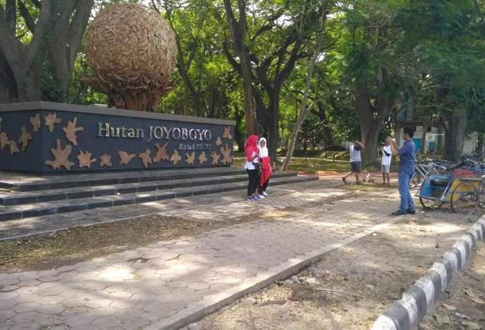 Pemkot Kediri Anggarkan Rp 3,4 M untuk Finishing Hutan Joyoboyo Pemkot Kediri Anggarkan Rp 3,4 M untuk Finishing Hutan Joyoboyo