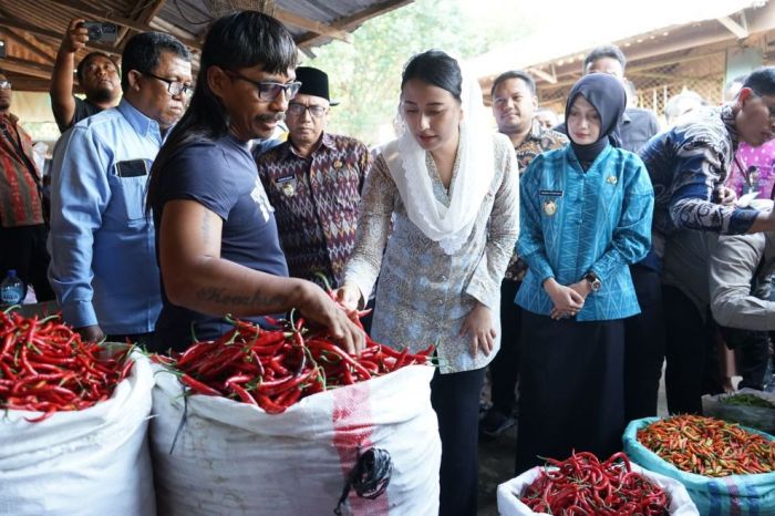 Wamendag dan Wali Kota Kediri Tinjau Pasar Grosir Ngronggo, Bahas Sinergi dan Revitalisasi Wamendag dan Wali Kota Kediri Tinjau Pasar Grosir Ngronggo, Bahas Sinergi dan Revitalisasi