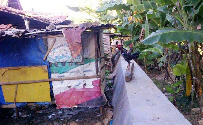 Ratusan Rumah di Bantaran Kali Kemuning Sampang bakal Dibongkar Paksa Ratusan Rumah di Bantaran Kali Kemuning Sampang bakal Dibongkar Paksa